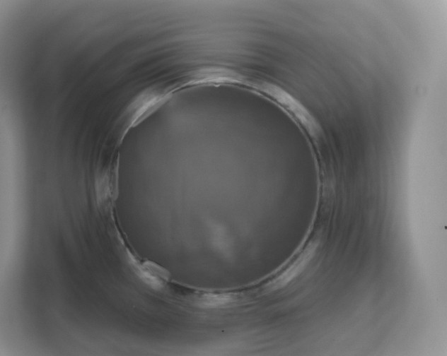 X0000111591385200907301417