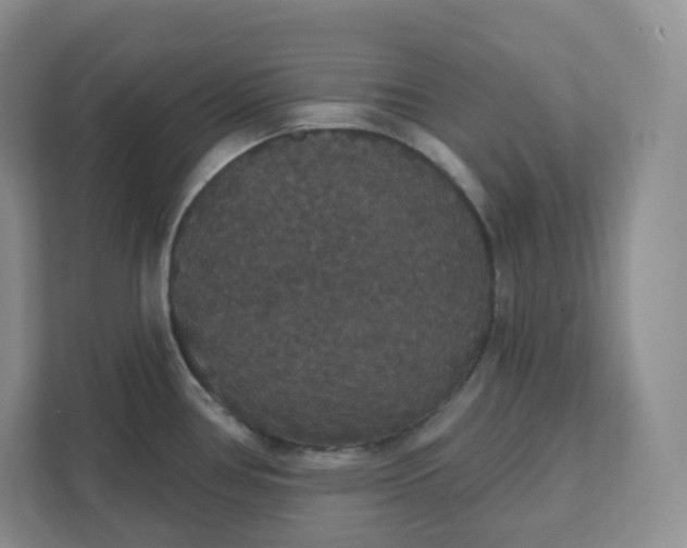 X0000111591386200907301417