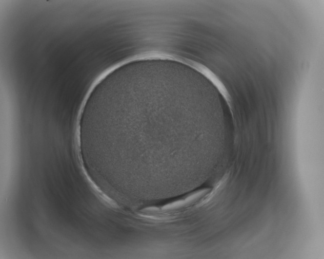 X0000111591388200907301417