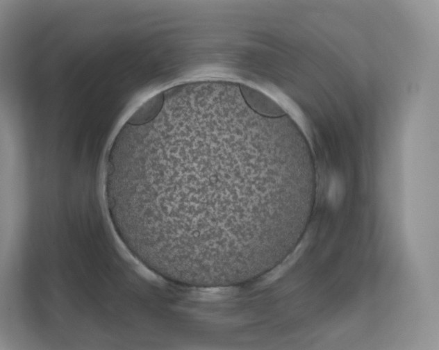 X0000111591390200907301417