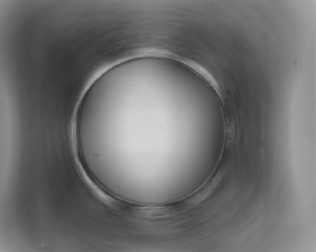 X0000111591391200907301417