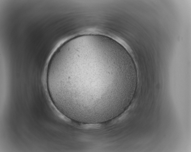 X0000111591392200907301417