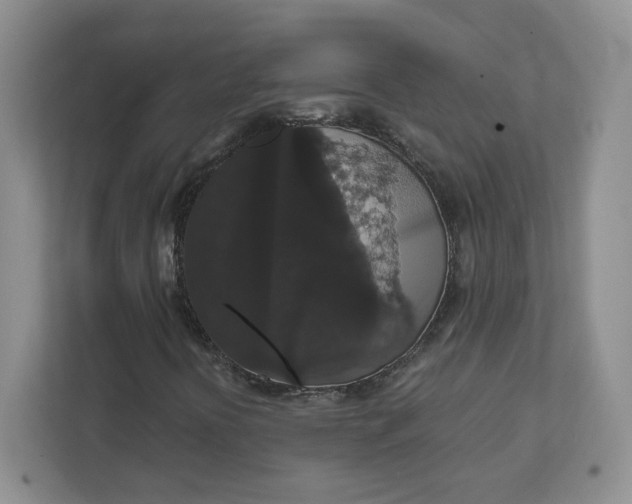 X0000111591394200907301416