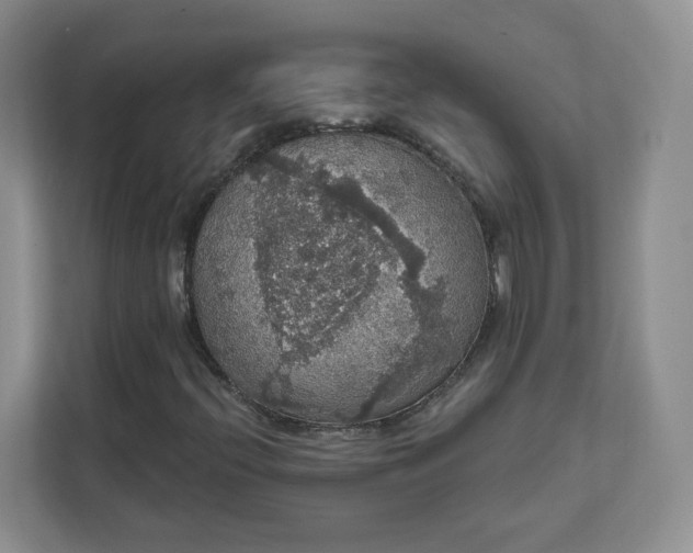 X0000111591396200907301416