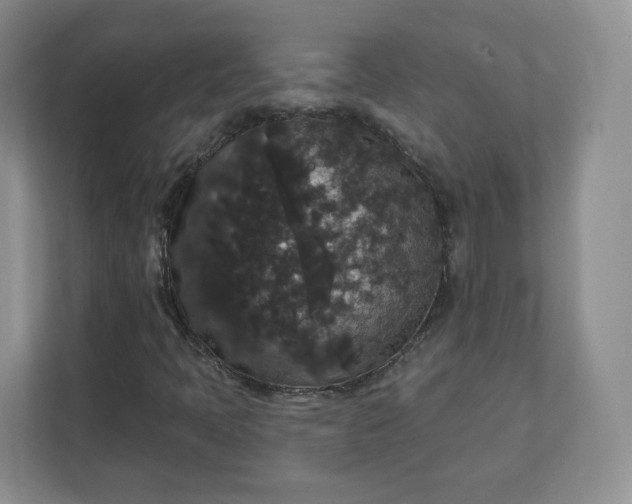 X0000111591397200907301416