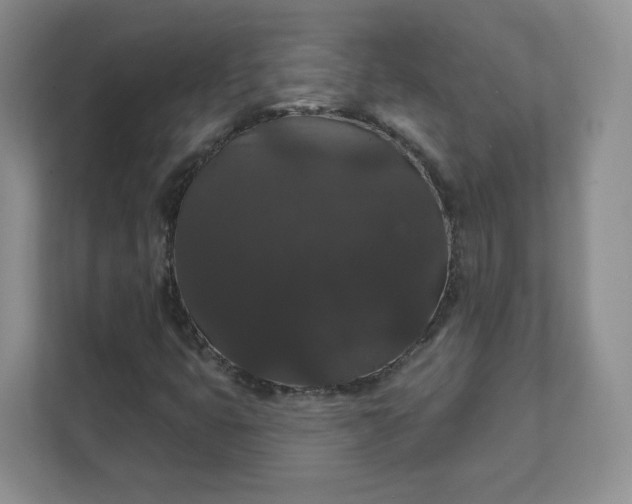 X0000111591399200907301416