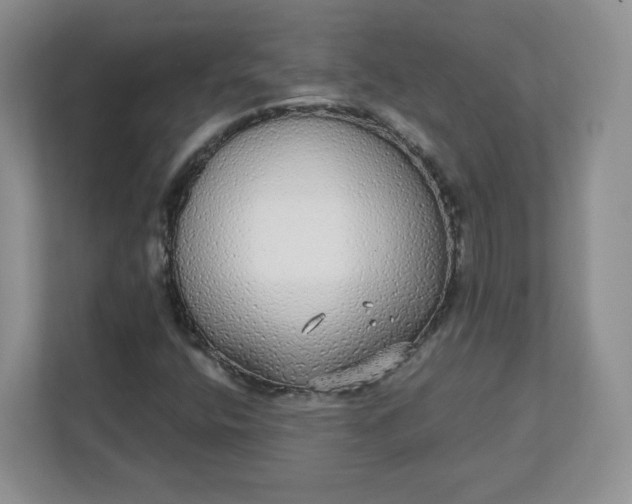 X0000111591400200907301416