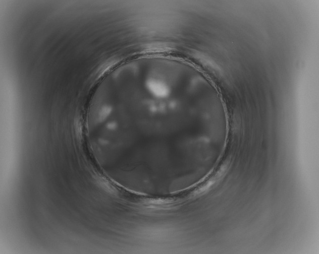 X0000111591401200907301416