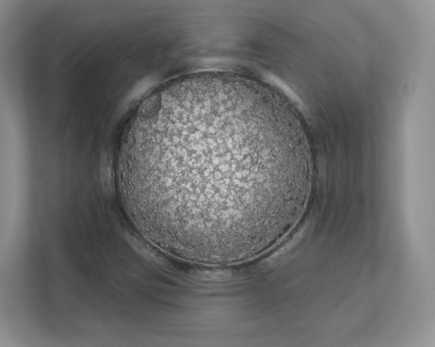 X0000111591403200907301416