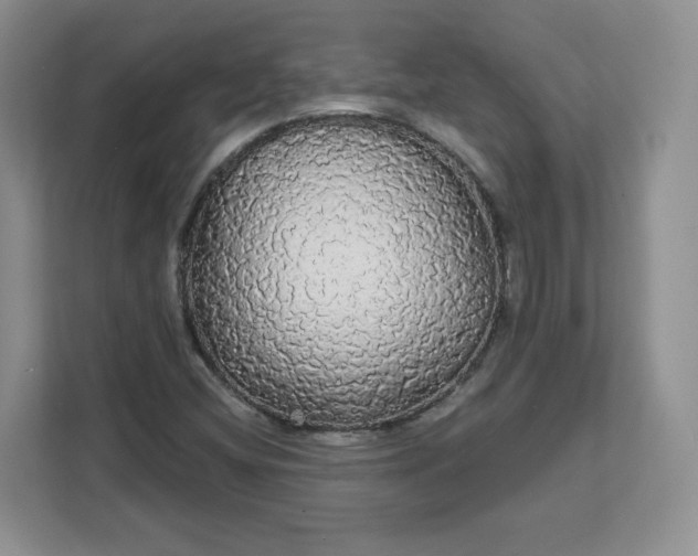 X0000111591404200907301416