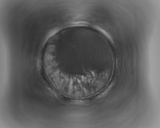 X0000111591405200907301416