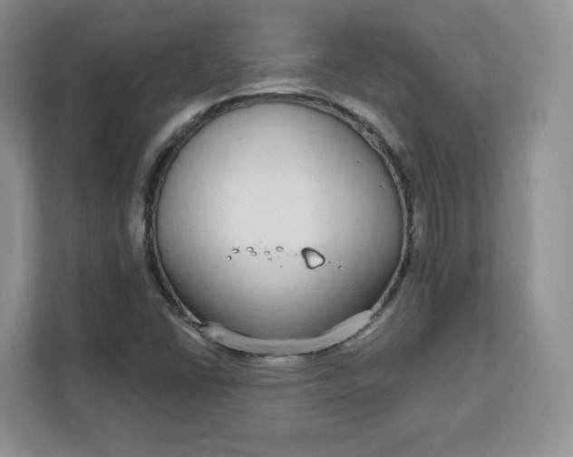 X0000111591406200907301416