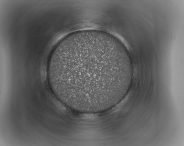 X0000111591407200907301416