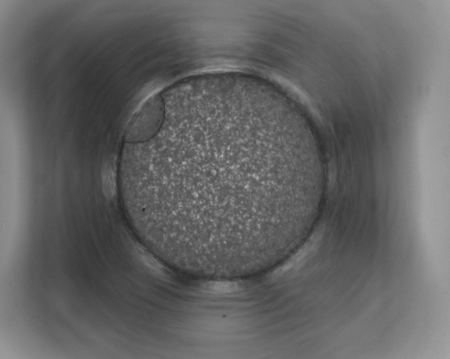 X0000111591409200907301416