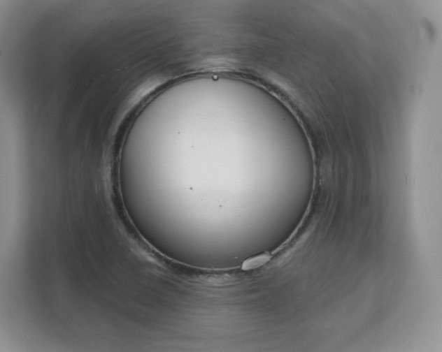 X0000111591410200907301416