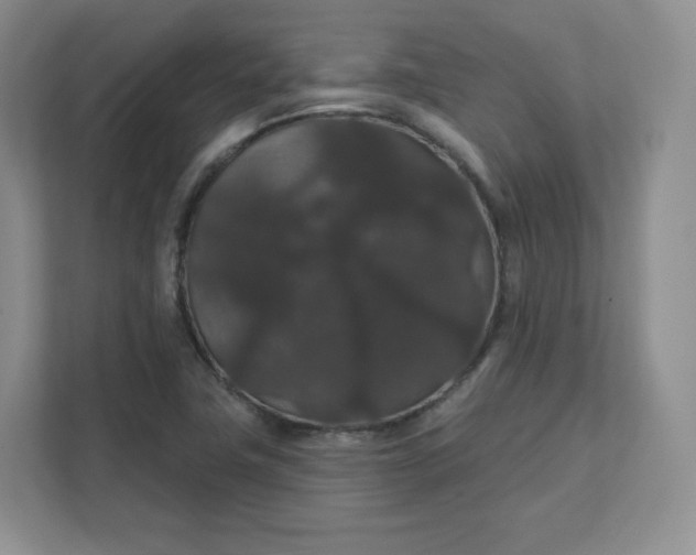 X0000111591411200907301416