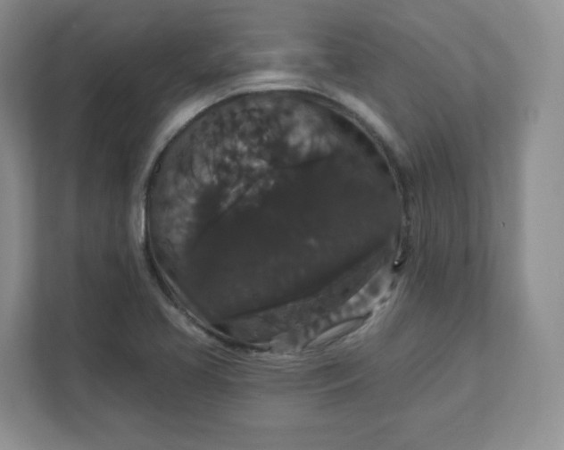 X0000111591413200907301416