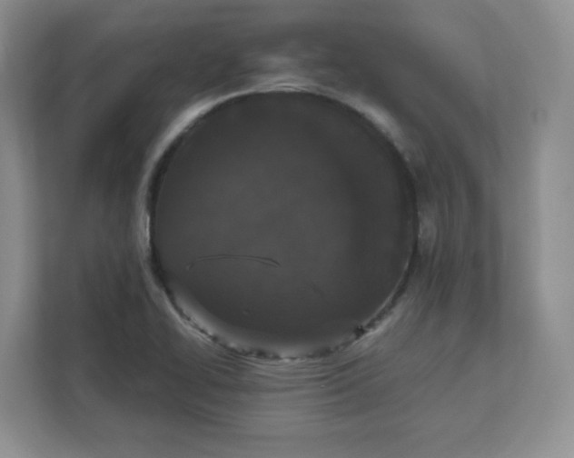 X0000111591414200907301416