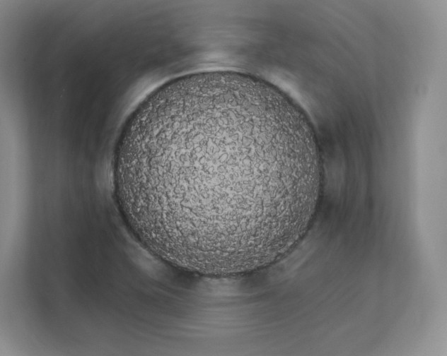 X0000111591415200907301416