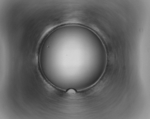 X0000111591416200907301416