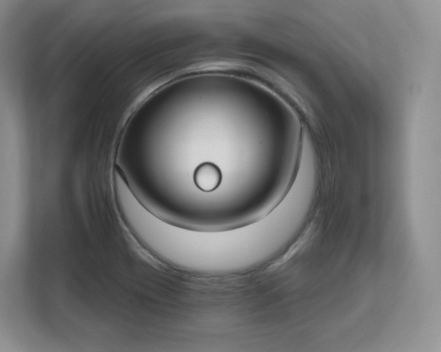 X0000111591417200907301416