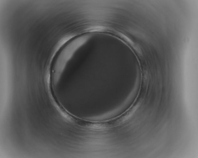 X0000111591418200907301416