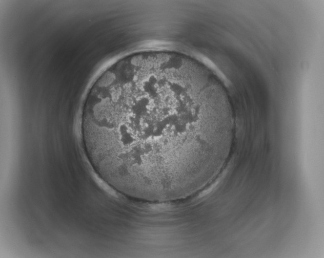 X0000111591421200907301416