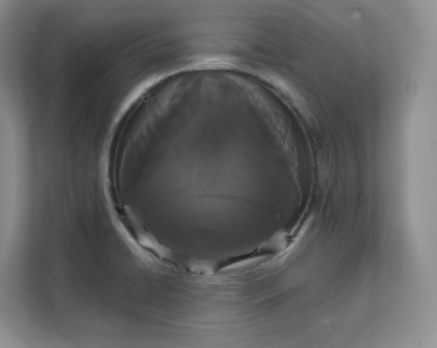 X0000111591422200907301417