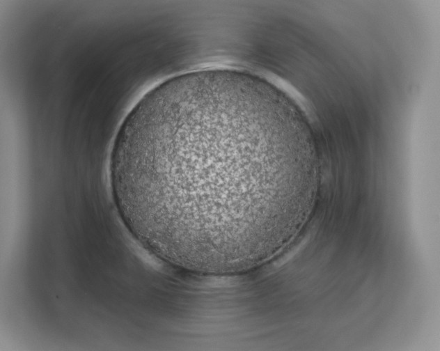 X0000111591423200907301417