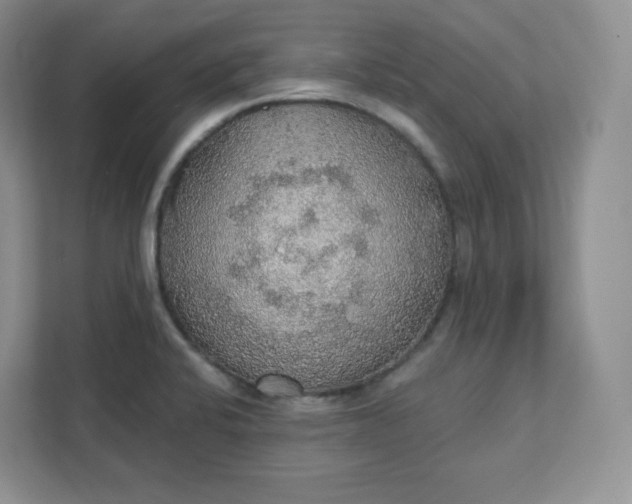 X0000111591424200907301417