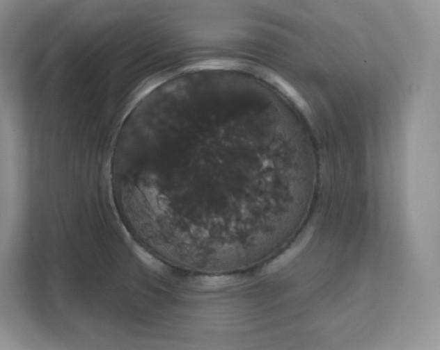 X0000111591425200907301417