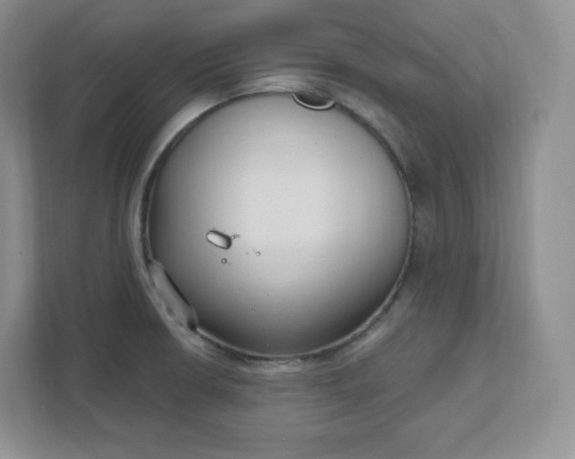 X0000111591426200907301417