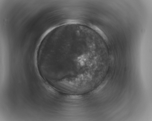 X0000111591427200907301417