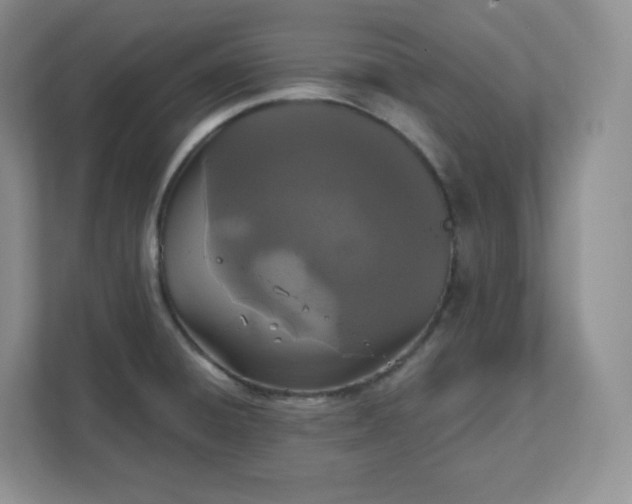 X0000111591428200907301417