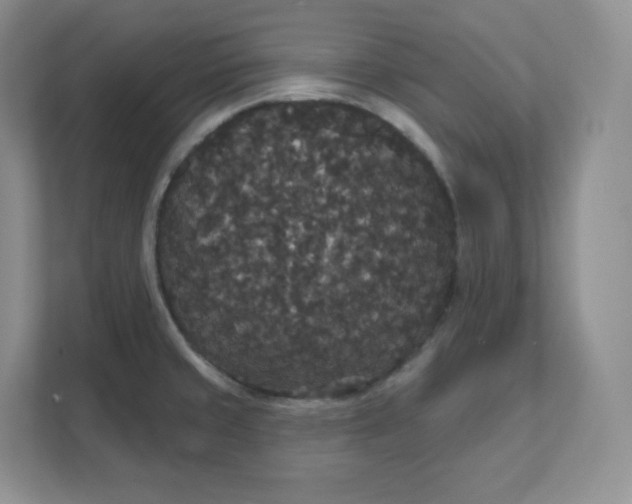 X0000111591429200907301417