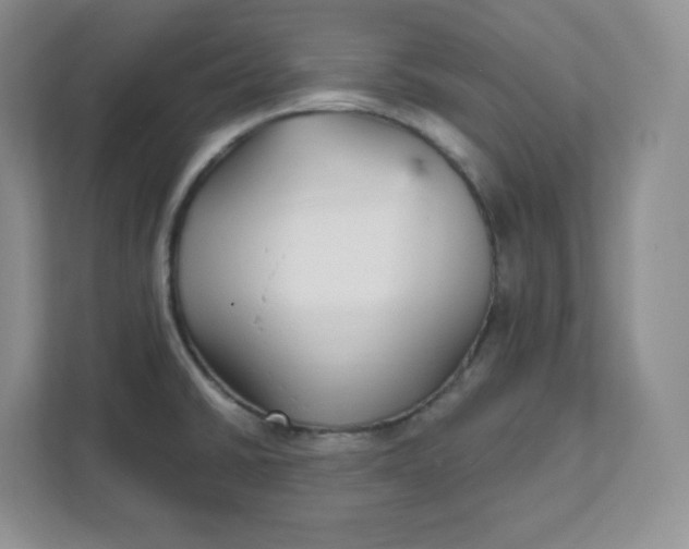 X0000111591430200907301417