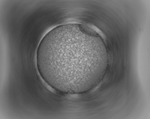 X0000111591431200907301417