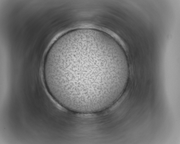 X0000111591432200907301417