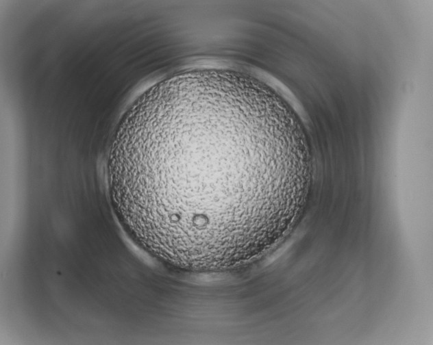 X0000111591433200907301417