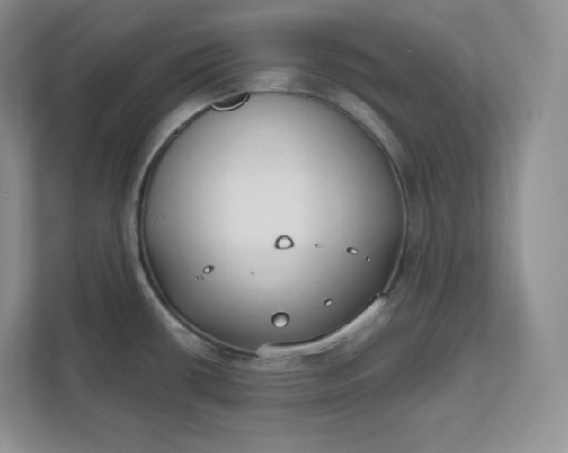 X0000111591434200907301417