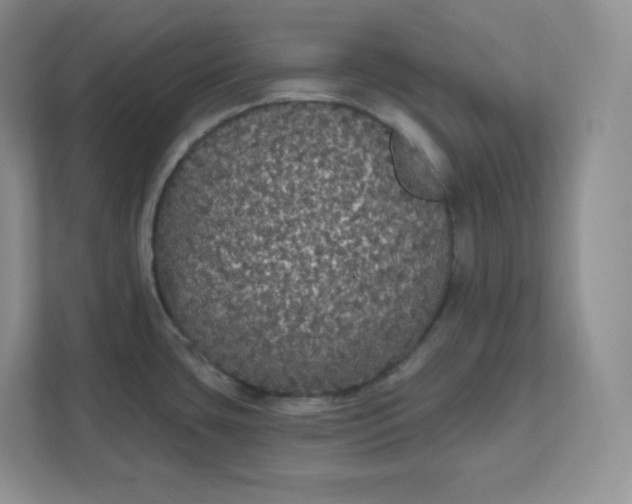 X0000111591435200907301417