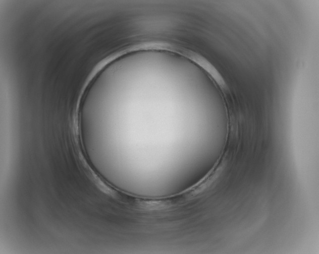 X0000111591436200907301417