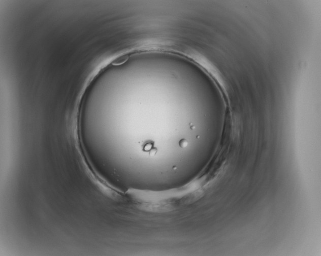 X0000111591437200907301417