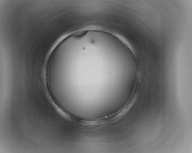 X0000111591438200907301417