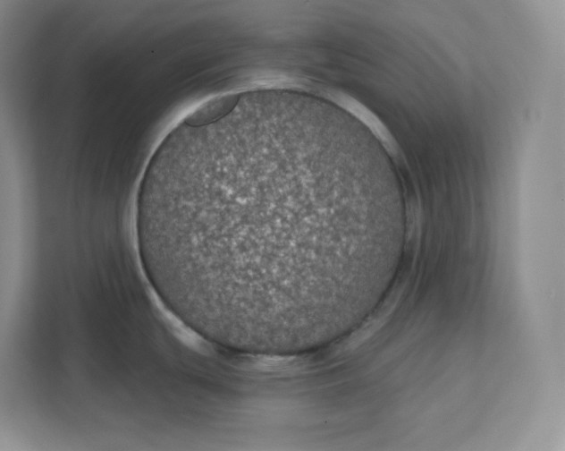 X0000111591439200907301417