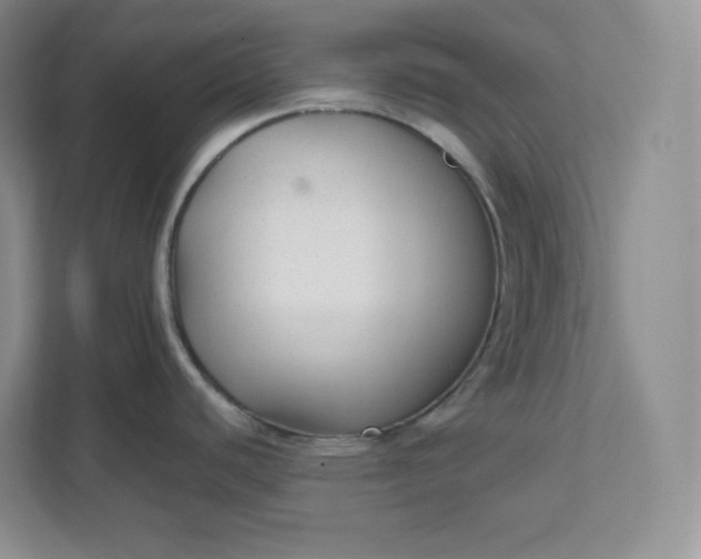 X0000111591440200907301417