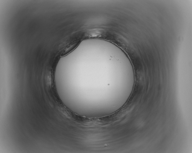 X0000111591442200907301416