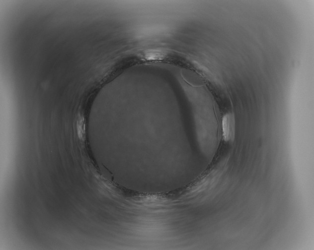 X0000111591443200907301416