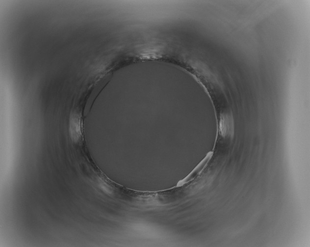 X0000111591444200907301416