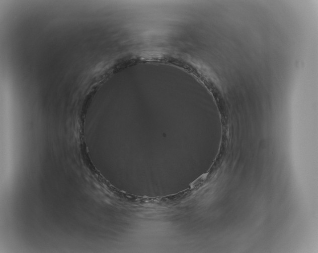 X0000111591445200907301416